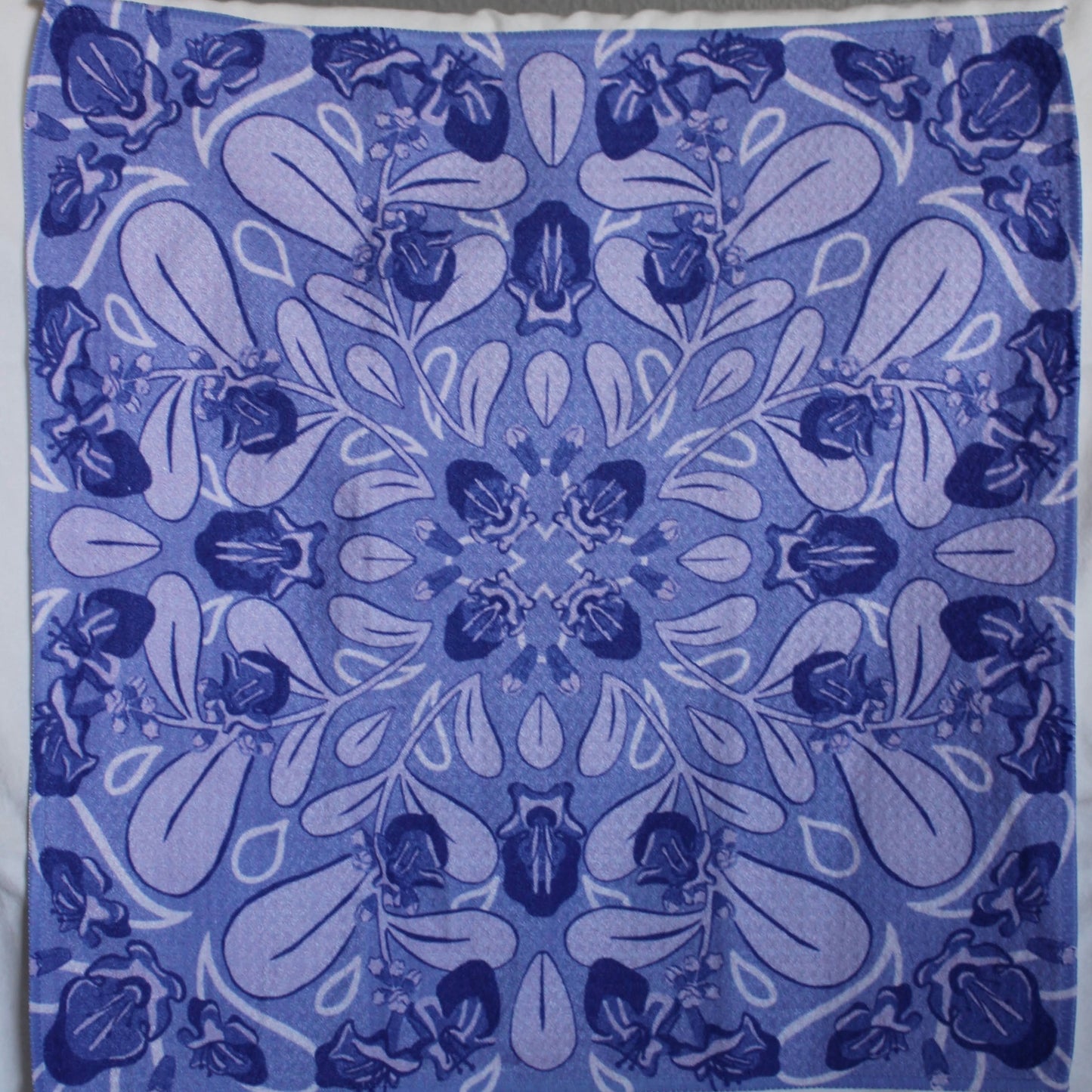 Microfiber Dish Towels: Ānuenue Set