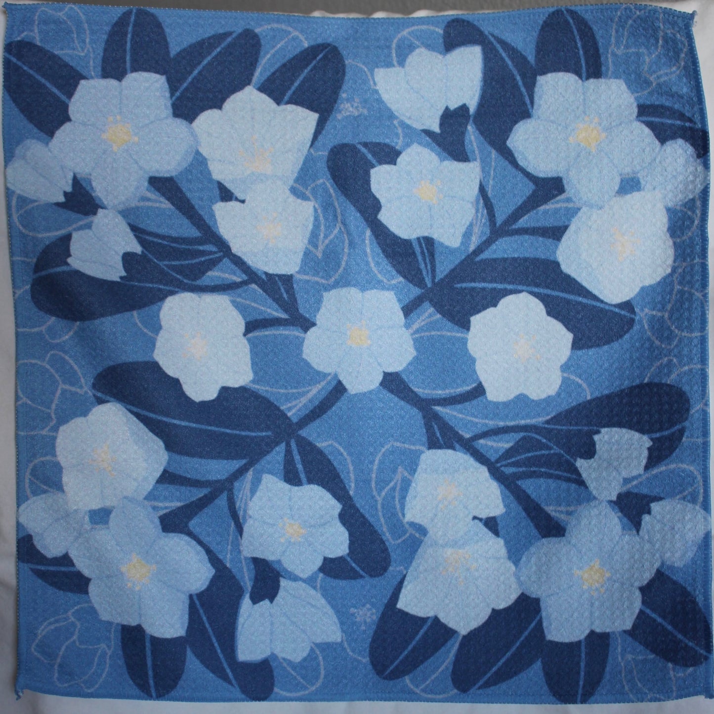 Microfiber Dish Towels: Ānuenue Set