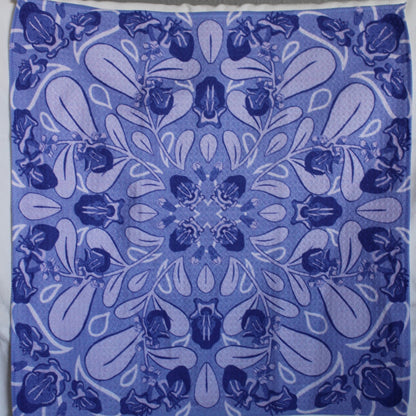 Microfiber Dish Towels: Ānuenue Set