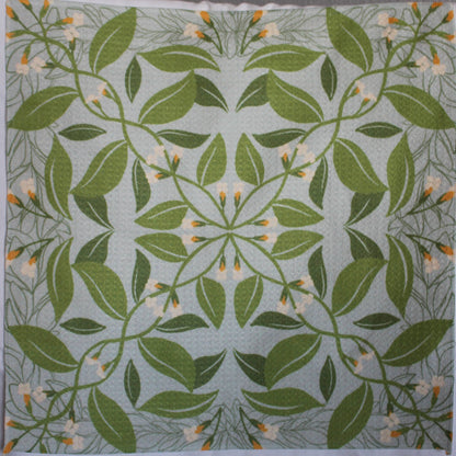 Microfiber Dish Towels: Ānuenue Set