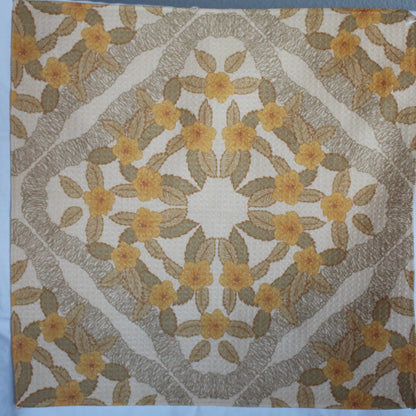 Microfiber Dish Towels: Ānuenue Set